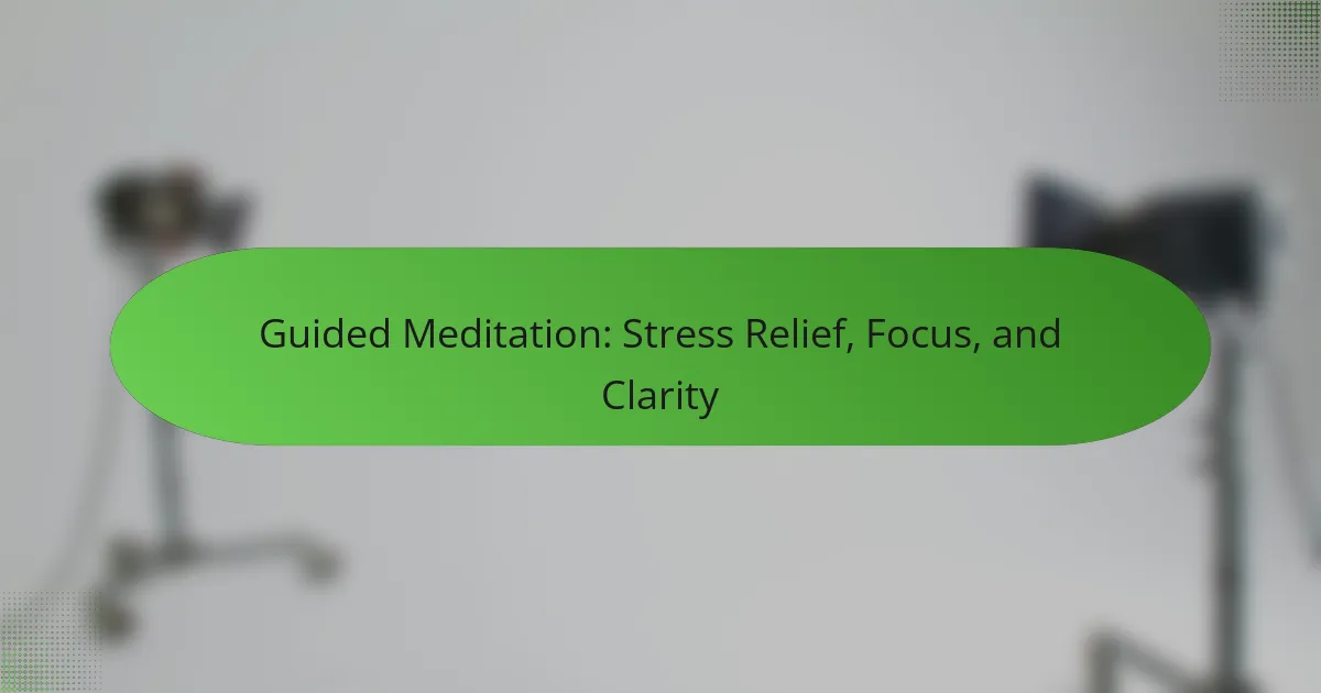 Guided Meditation: Stress Relief, Focus, and Clarity