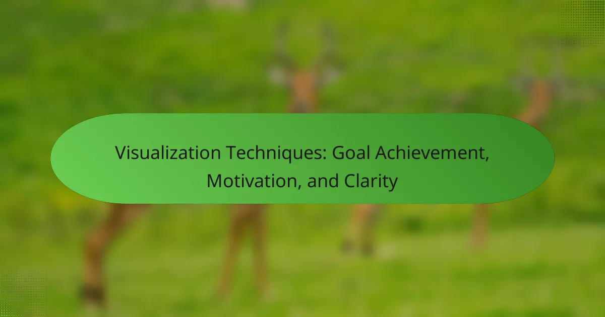 Visualization Techniques: Goal Achievement, Motivation, and Clarity