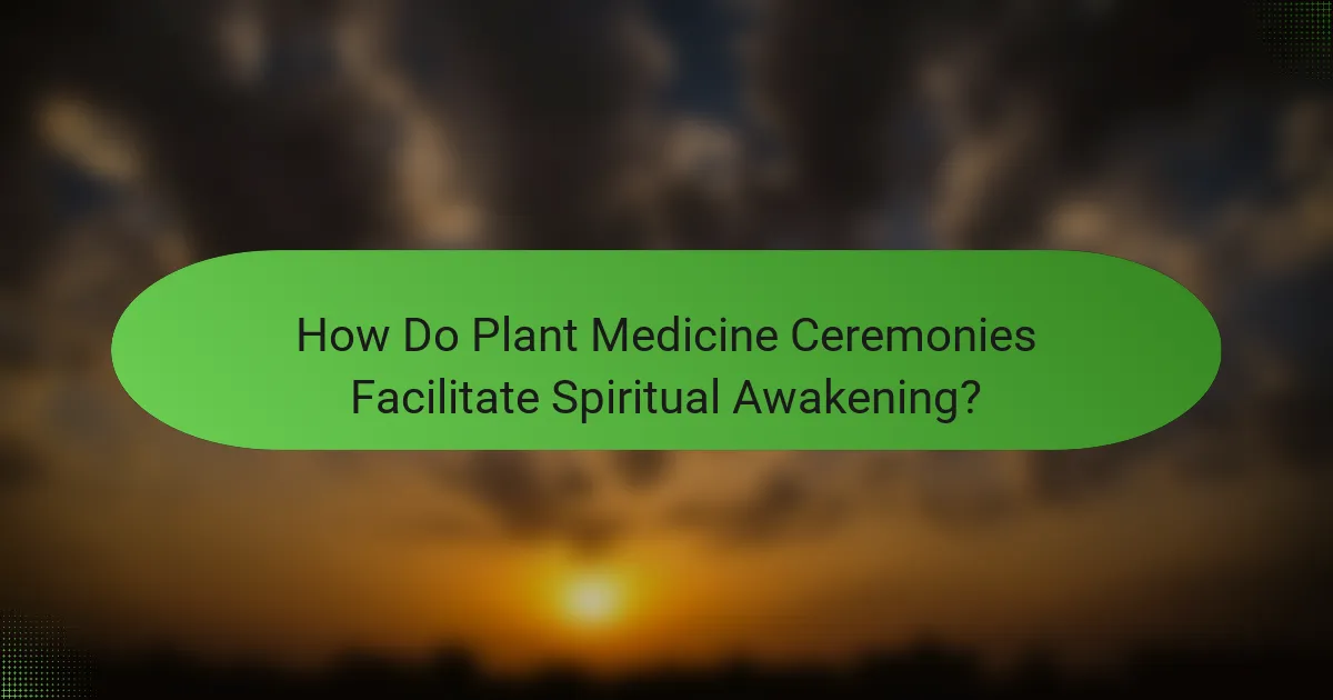 How Do Plant Medicine Ceremonies Facilitate Spiritual Awakening?