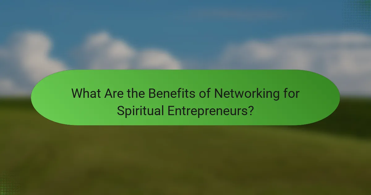 What Are the Benefits of Networking for Spiritual Entrepreneurs?