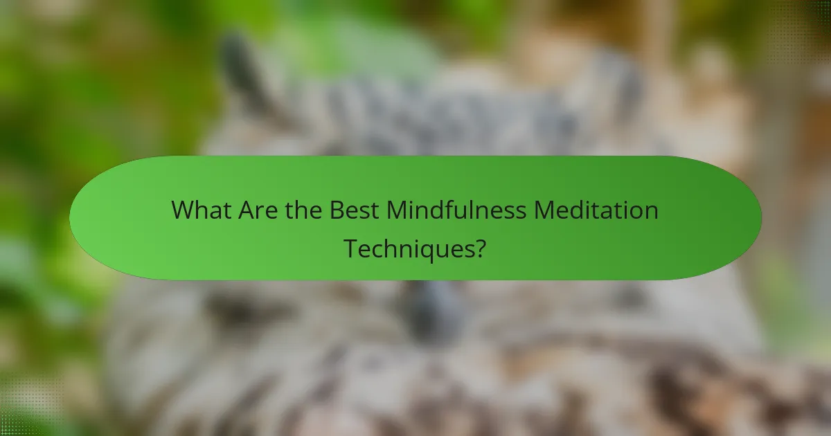 What Are the Best Mindfulness Meditation Techniques?