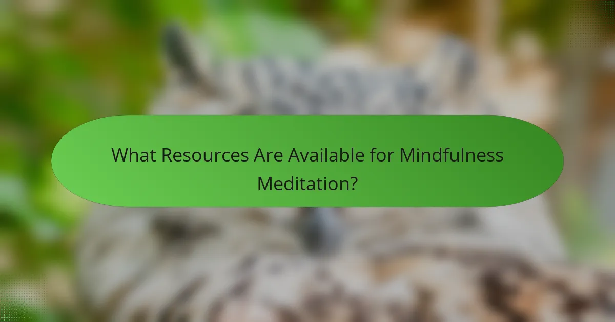 What Resources Are Available for Mindfulness Meditation?